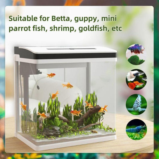 28L Glass Fish Tank with LED Lighting, Filter & Water Pump-Fish Tank-AfiLiMa Essentials