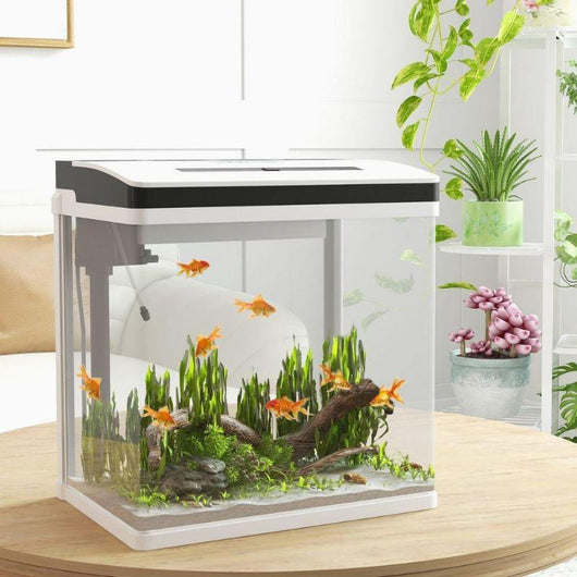 28L Glass Fish Tank with LED Lighting, Filter & Water Pump-Fish Tank-AfiLiMa Essentials