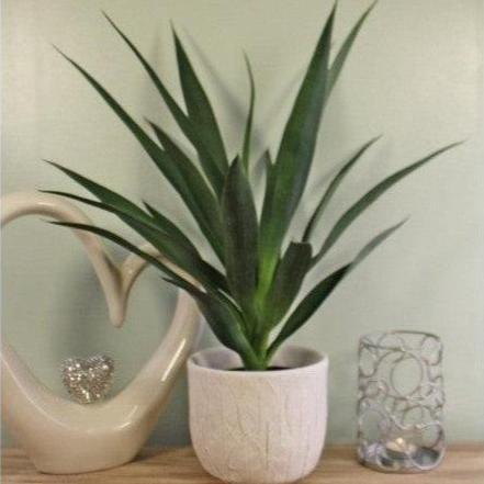 60cm Artificial Yucca Plant for Indoor Décor-Ornamental Plant-AfiLiMa Essentials