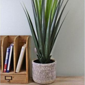 80cm Artificial Aloe Vera Plant for Home Décor-Ornamental Plant-AfiLiMa Essentials