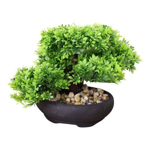 Eastern Faux Bonsai Tree in Boxwood Style-Ornamental Plant-AfiLiMa Essentials