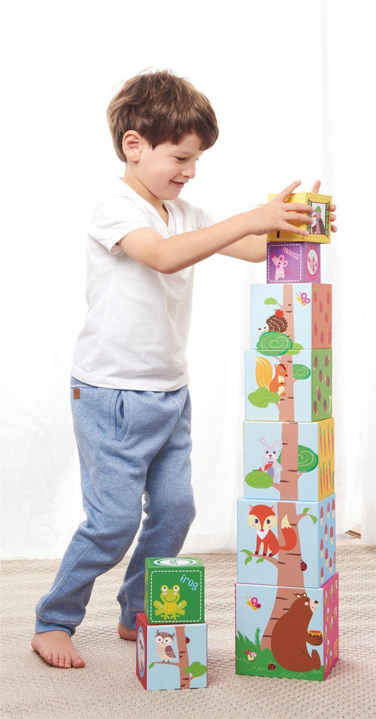 Educational Stacking Cubes: A Fun Learning Toy for Early Development-Toy-AfiLiMa Essentials