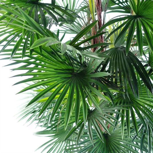 Tall Fan Palm Artificial Tree for Indoor and Outdoor Décor-Artificial Plant-AfiLiMa Essentials