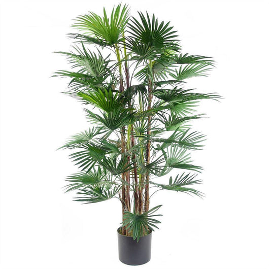 Tall Fan Palm Artificial Tree for Indoor and Outdoor Décor-Artificial Plant-AfiLiMa Essentials